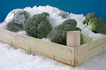 iced broccoli