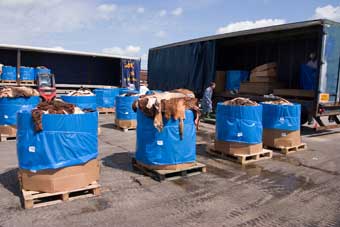 packed hides for loading