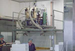 5 tonne ice machine on frame fish processing