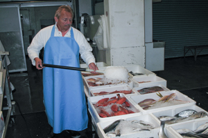 applying Ziegra ice to fish